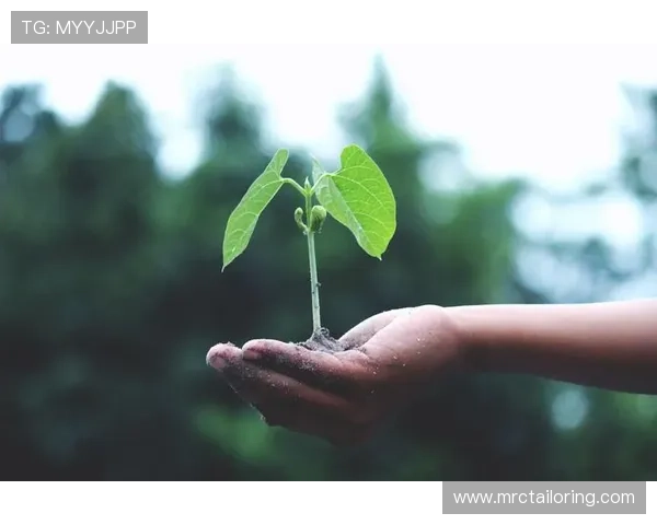 必赢的生活态度：积极面对困难迎接每一个成功的可能